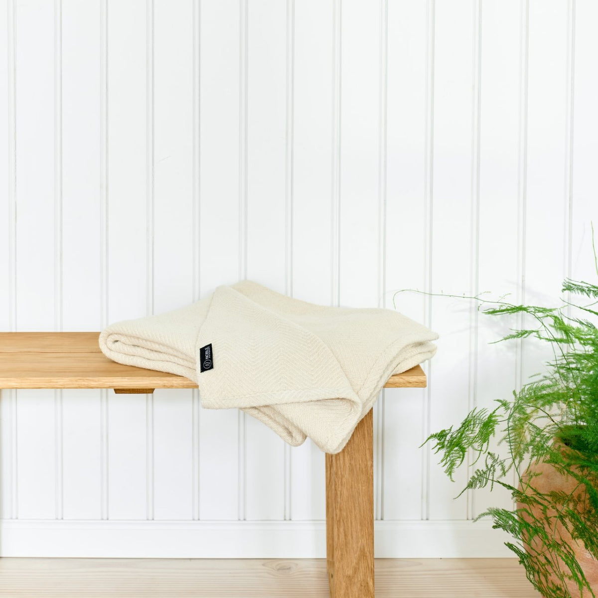 Noble Soft, Cream